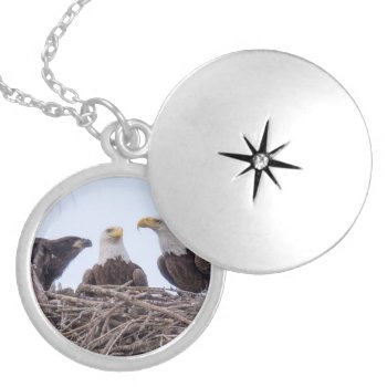 E9  M15 And Harriet Pendant Necklace by SWFLEagleCam at Zazzle