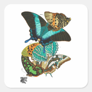 E.A. Séguy Vintage Butterflies Illustration Square Sticker