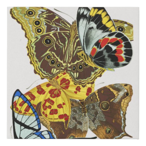 EA Sguys vintage butterflies 1925 Faux Canvas Print