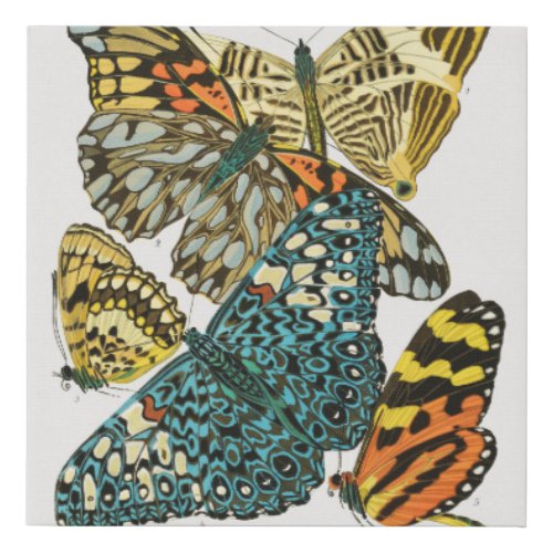 EA Sguys vintage butterflies 1925 insect Faux Canvas Print