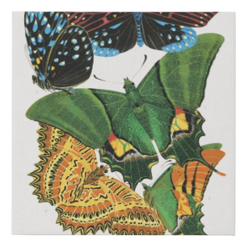 EA Sguys vintage butterflies illustration Faux Canvas Print