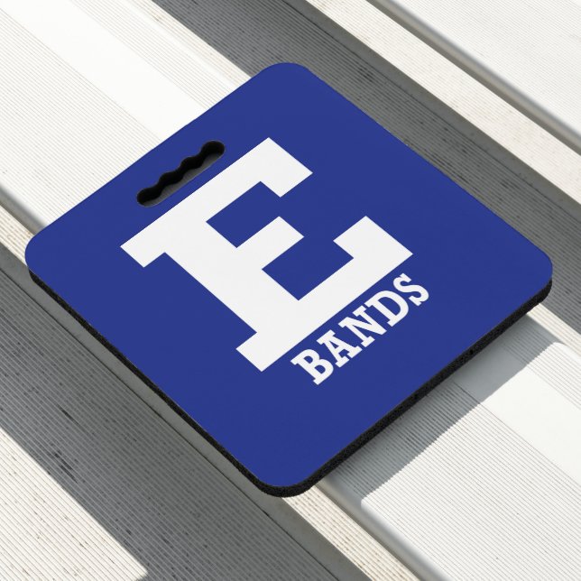 E-Bands Stadium Cushion Seat (In Situ)