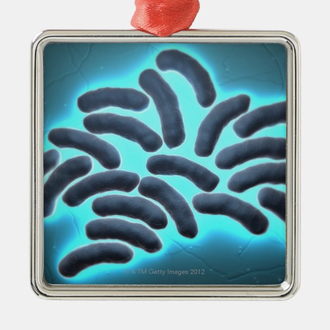 E-coli Cells 2 Metal Ornament (Front)