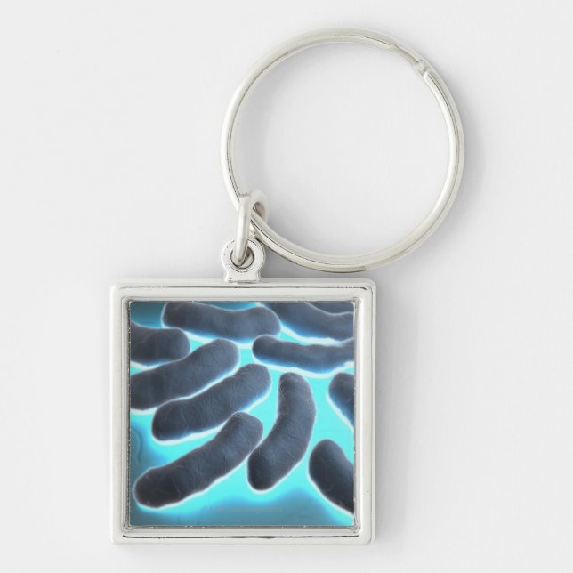 E-coli Cells Keychain (Front)
