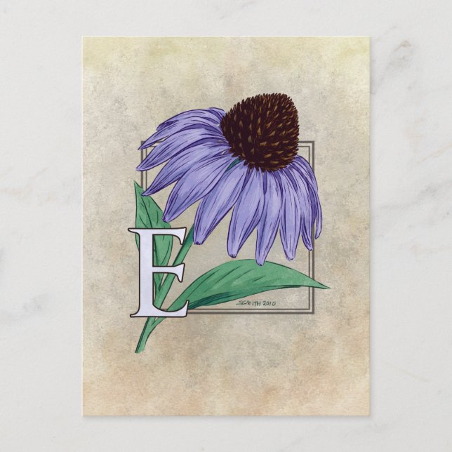 E for Echinacea Flower Monogram Cards (Front)