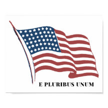 E Pluribus Unum Patriotic U.S. Flag