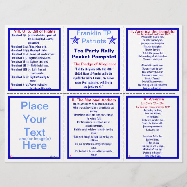 E-VIII** Patriotic Rally Pamphlet  (Customizable) Flyer (Front)