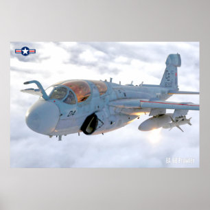 EA-6B PROWLER POSTER
