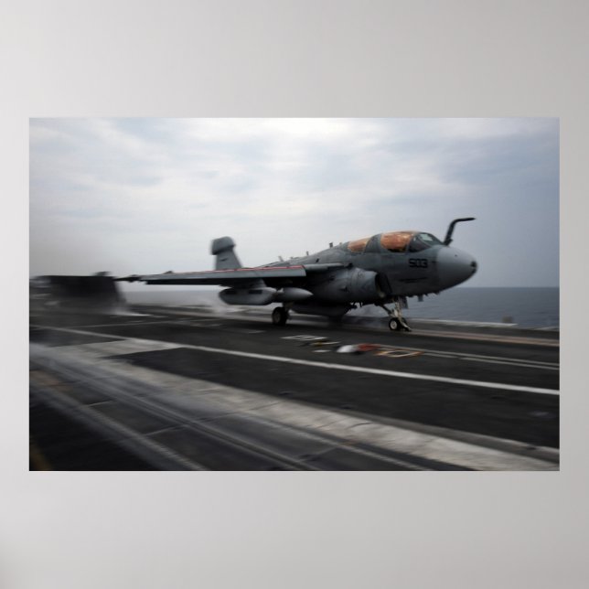 EA-6B Prowler Poster (Front)