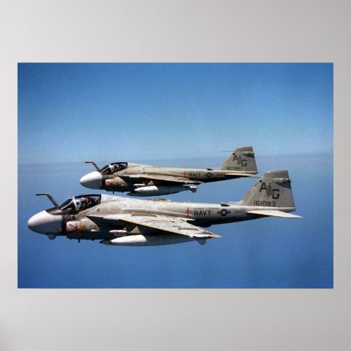 EA_6B Prowlers Poster