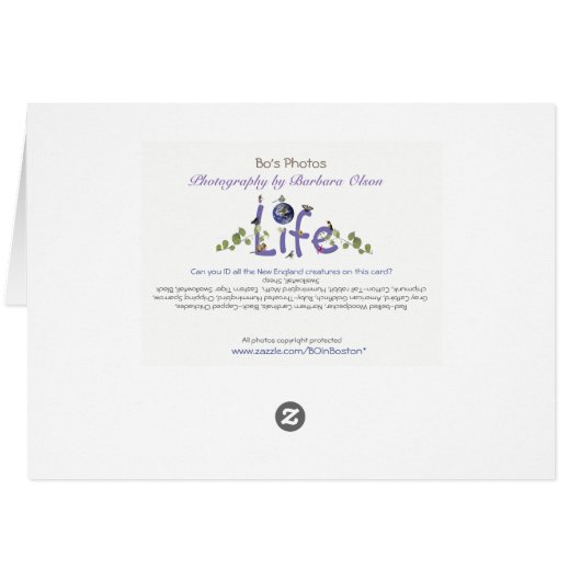 Each birthday is a stop on life's journey. (Back Horizontal)