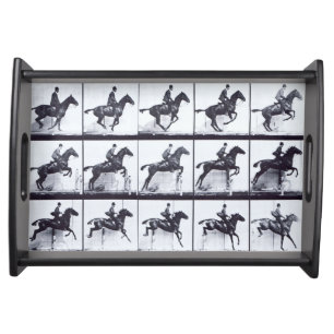 EADWEARD MUYBRIDGE: Horse Daisy Jumping-Small Tray