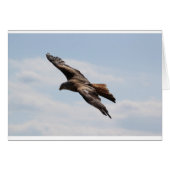 Eagle (Front Horizontal)