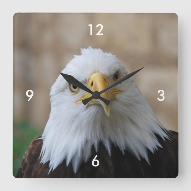 Eagle_2015_0201 Square Wall Clock (Front)