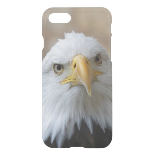Eagle_2015_0201 iPhone SE87 Case