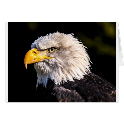 Eagle 2 cards (Front Horizontal)