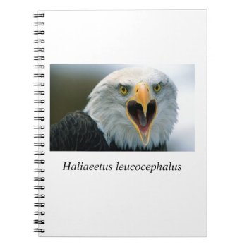 Eagle#2 Notebook by rgkphoto at Zazzle