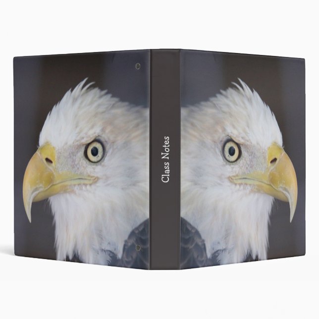 Eagle 3 Ring Binder (Background)