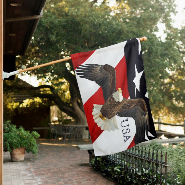 Eagle and American Flag (In SItu)
