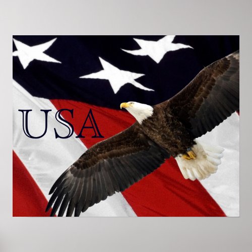 Eagle and American Flag Poster