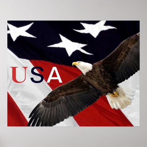 Eagle and American Flag USA Poster