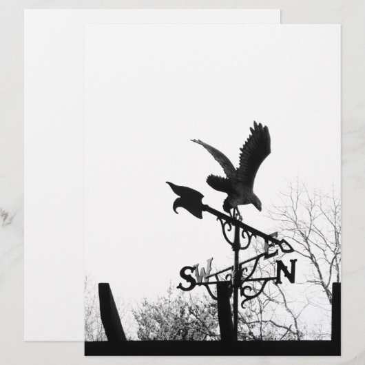 Eagle and Arrow (Front/Back)