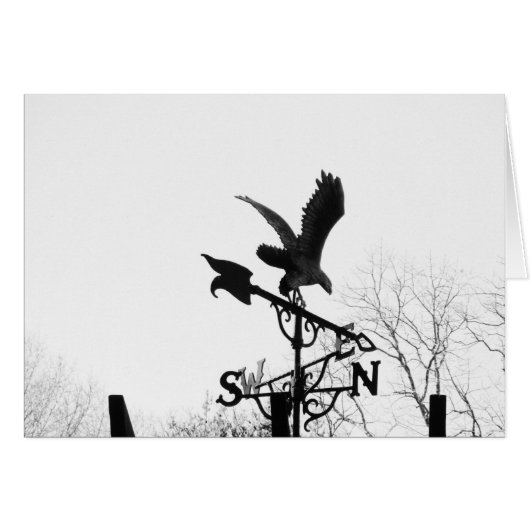 Eagle and Arrow (Front Horizontal)