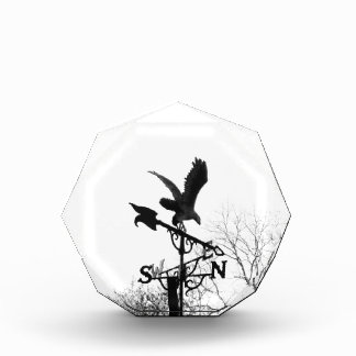 Eagle and Arrow Acrylic Award