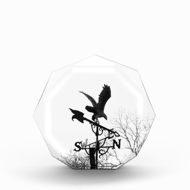 Eagle and Arrow Acrylic Award (Front)