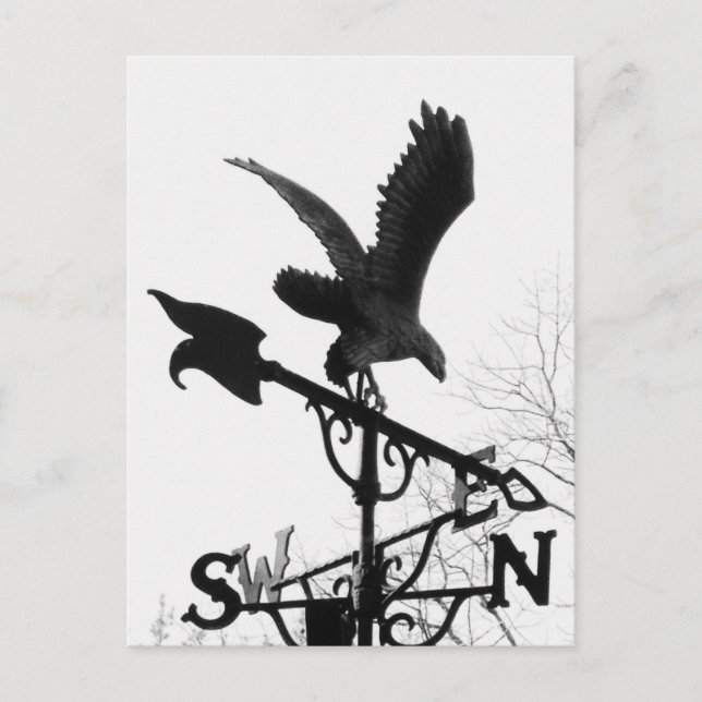 Eagle and Arrow Postcard (Front)