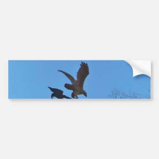 Eagle and Arrow Weather vane blue skys Bumper Sticker