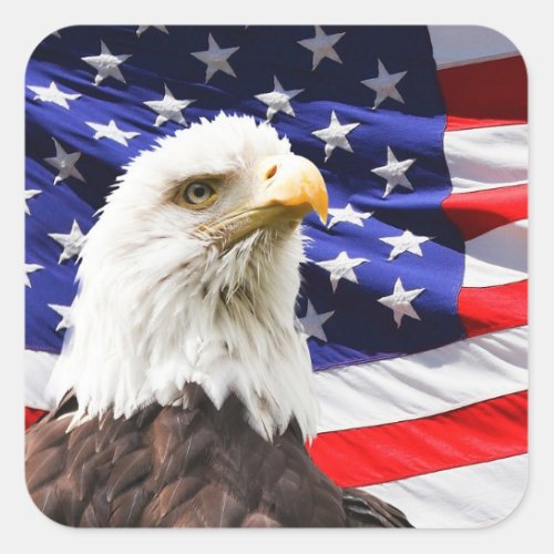 Eagle and Flag Square Sticker