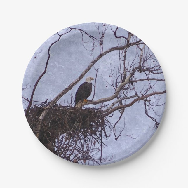 Eagle And Nest Painterly Paper Plates (Front)