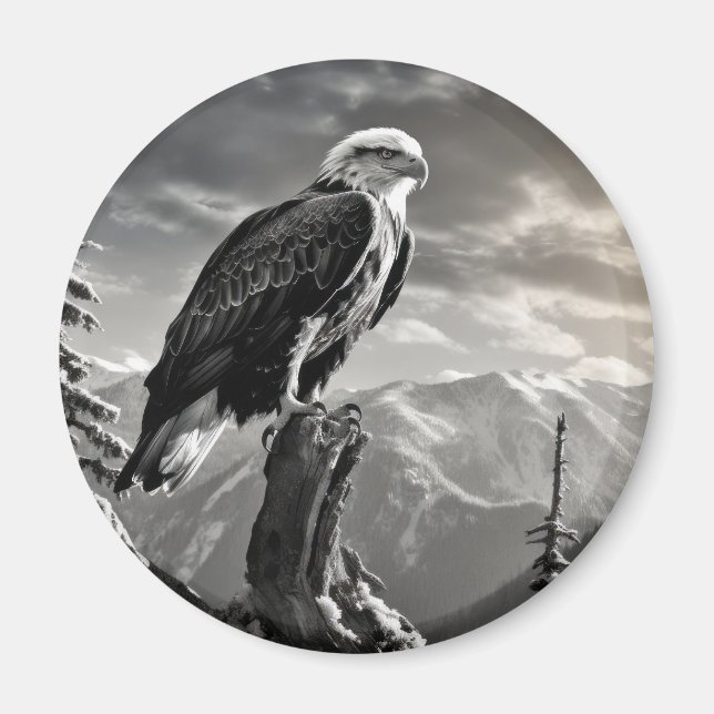 Eagle Animal Bird Wild Nature Ink Sketch Style Magnet (Front)