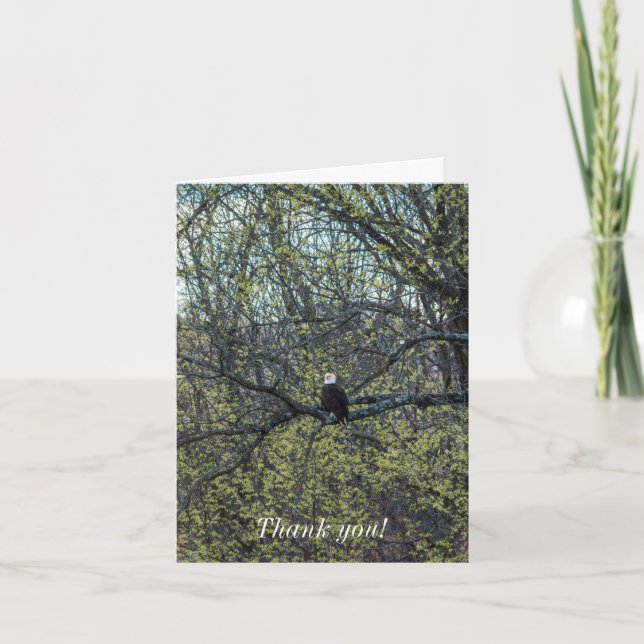 Eagle Awareness Card (Front)