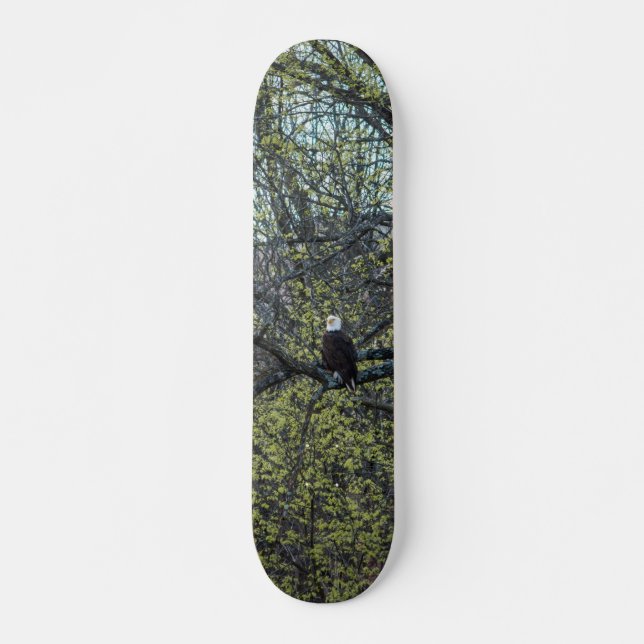 Eagle Awareness Skateboard Deck (Front)