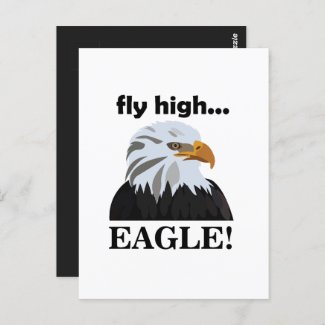 Eagle Bald Eagle Fly High Eagle
