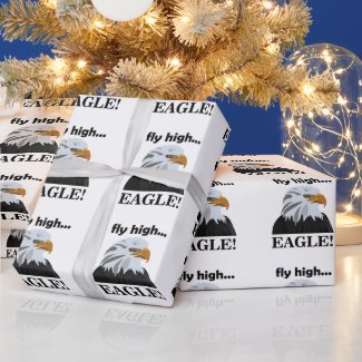 Eagle Bald Eagle Fly High Eagle
