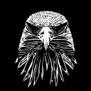 Eagle bath towel set