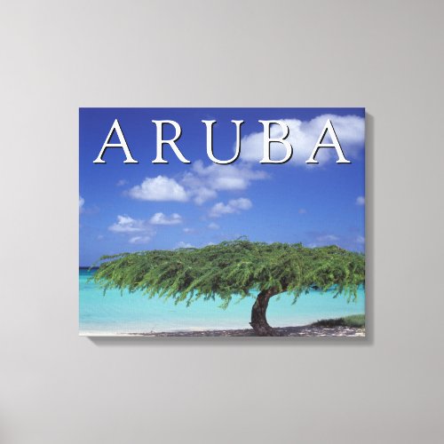 Eagle Beach  Caribbean Aruba Canvas Print