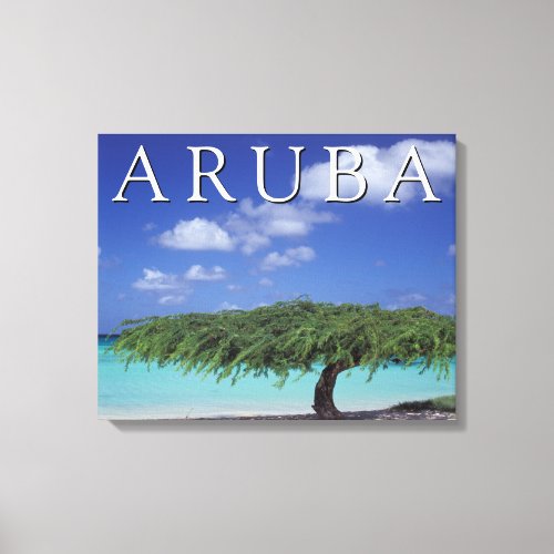 Eagle Beach  Caribbean Aruba Canvas Print