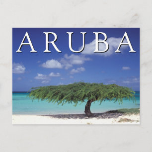 Eagle Beach Caribbean, Aruba Postcard