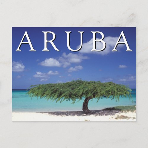 Eagle Beach  Caribbean Aruba Postcard