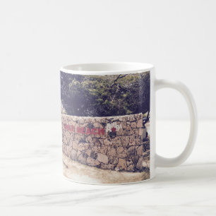 Eagle Beach - White 11 oz Classic White Mug
