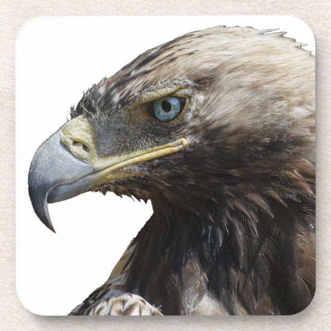 Eagle Beverage Coaster (Front)