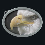 EAGLE BIRD OF PREY   BELT BUCKLE<br><div class="desc">A photographic design of the head of a beautiful bald eagle.</div>