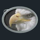 EAGLE BIRD OF PREY   BELT BUCKLE<br><div class="desc">A photographic design of the head of a beautiful bald eagle.</div>