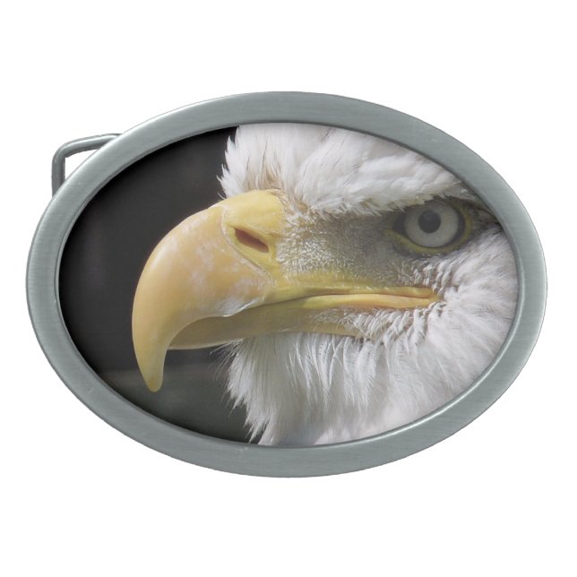 EAGLE BIRD OF PREY   BELT BUCKLE (Front)