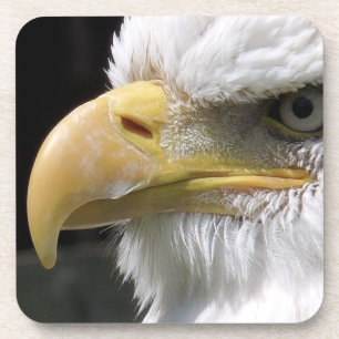 EAGLE BIRD OF PREY BEVERAGE COASTER