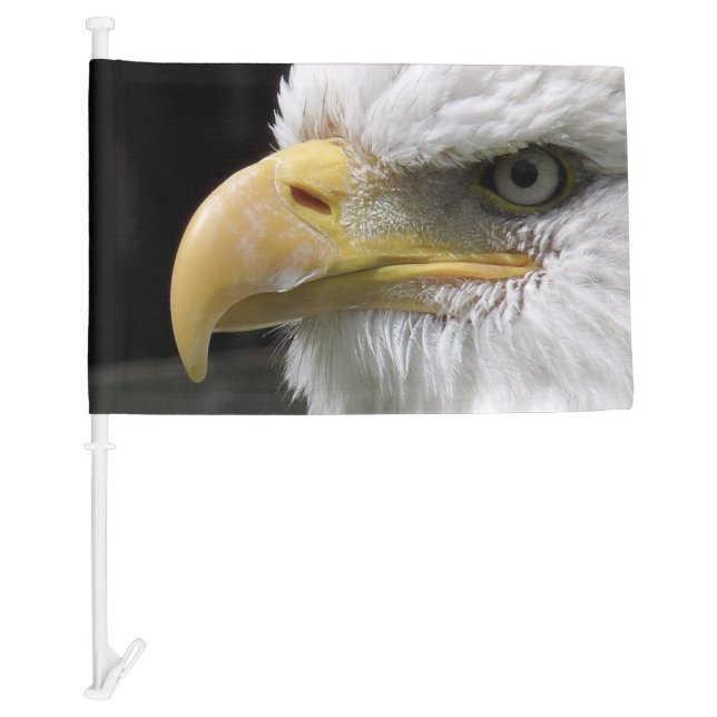 EAGLE BIRD OF PREY  CAR FLAG (Front)